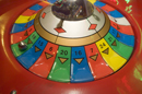 Amusements for all the family. Copyright &copy; Chris Parker Photography 2008.