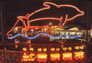 Mablethorpe Illuminations. Switched on in July.. Copyright &copy; Chris Parker Photography 2008.