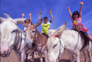 Everyone loves a donkey ride at Skegness. Copyright &copy; Chris Parker Photography 2008.