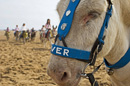 A sunny day on the beach. Copyright &copy; Chris Parker Photography 2008.