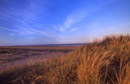 Our award-winning beaches. Copyright &copy; Chris Parker Photography 2008.