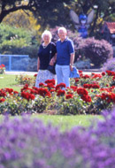 The flowers are beautiful in the gardens. Copyright &copy; Chris Parker Photography 2008.