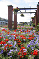 The beautiful gardens in bloom. Copyright &copy; Maria Vincent 2009