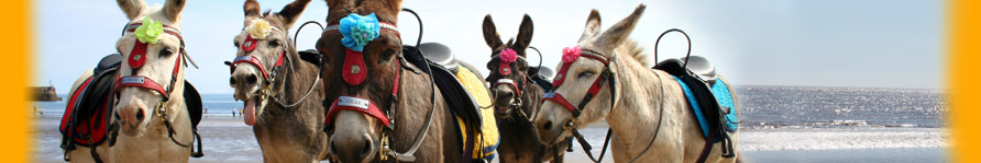 Lincolnshire Seaside - Visit Skegness, Cleethorpes and Mablethorpe
